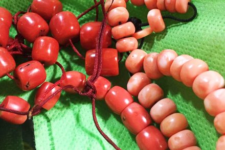 San hô đỏ hóa thạch Tây Tạng - Nepal - Himalaya đá quý đắt hơn Vàng