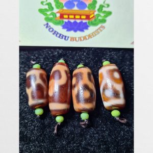 Dzi bead thiên châu mai rùa 6 chấm mai rùa và bảo bình thân ngọc cỡ ngắn