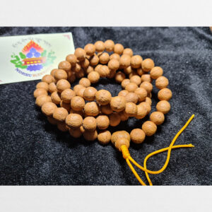 Chuỗi bồ đề Phật nhãn 11 và 12mm từ Nepal hạt mới chưa sử dụng