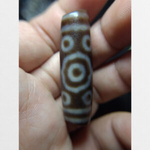 Dzi bead 13 mắt Cực hiếm RARE thân ngọc chất đẹp size ngắn