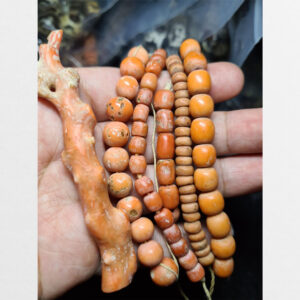 San hô đỏ hàng lên ngọc thạch chất đẹp thiên nhiên RED CORAL