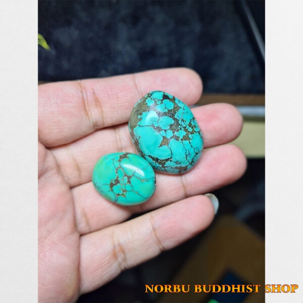 Turquoise lam ngọc thiên nhiên 2 viên hóa ngọc bóng đẹp độc lạ