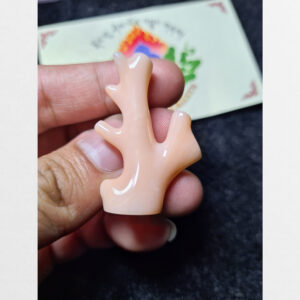 San hô đỏ hóa ngọc cành thiên nhiên