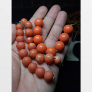 San hô đỏ hóa ngọc thiên nhiên hàng tuyển chọn cỡ to hiếm gặp