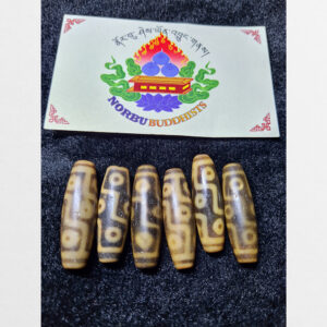 Dzi bead 9 mắt màu vàng ivory chất đẹp 6 viên tuyển chọn