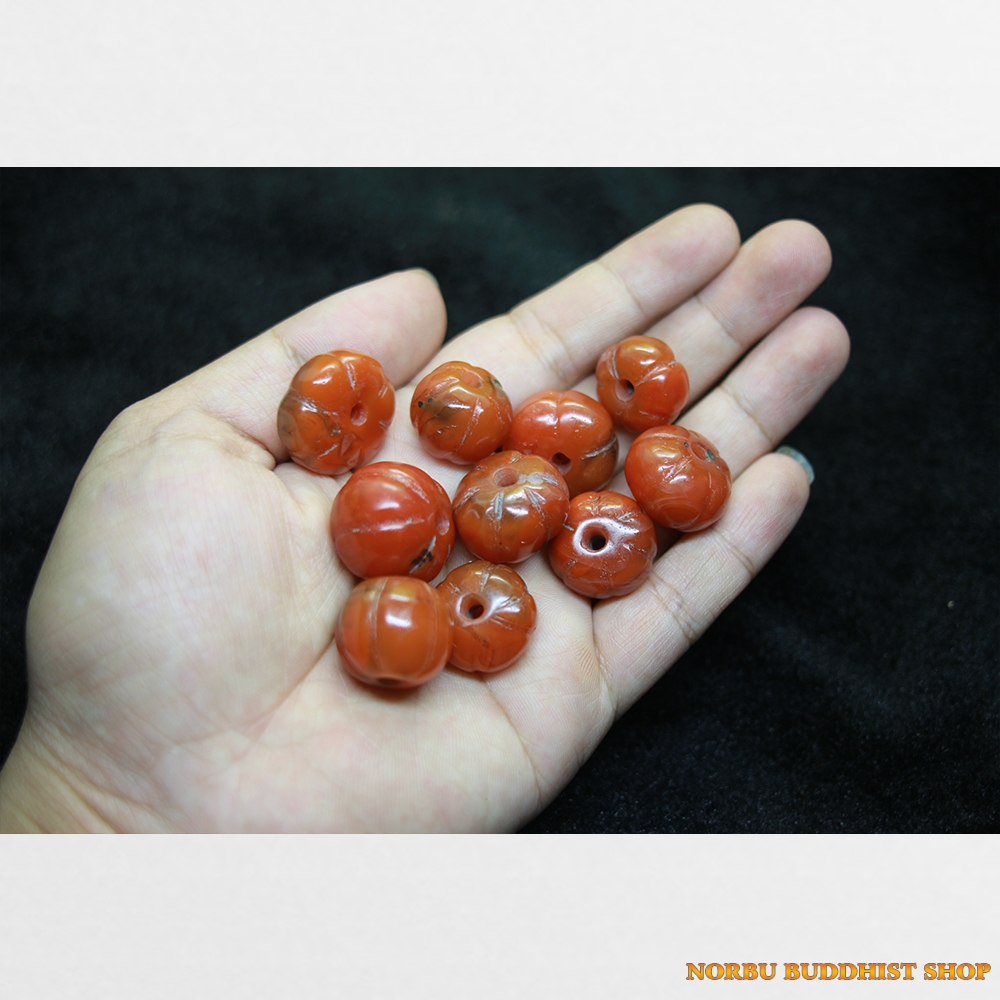 Dã não nam hồng 10 viên pema raka bí ngô chất đỏ đẹp từ Tibet
