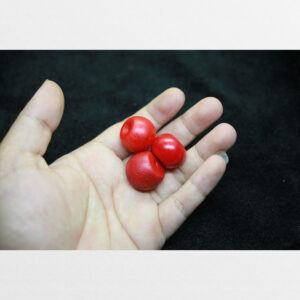 Liuli đỏ old cổ lâu đời trụ cỡ lớn bigsize từ Lhasa