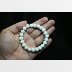 Vòng tay vỏ ốc trắng từ Tibet