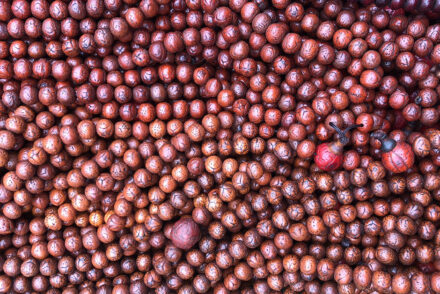 Chuỗi Tràng Hạt Bồ Đề Phật Nhãn Tinh Nguyệt... những bí mật bạn chưa biết