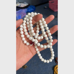 Chuỗi ốc hóa thạch cổ 30 năm