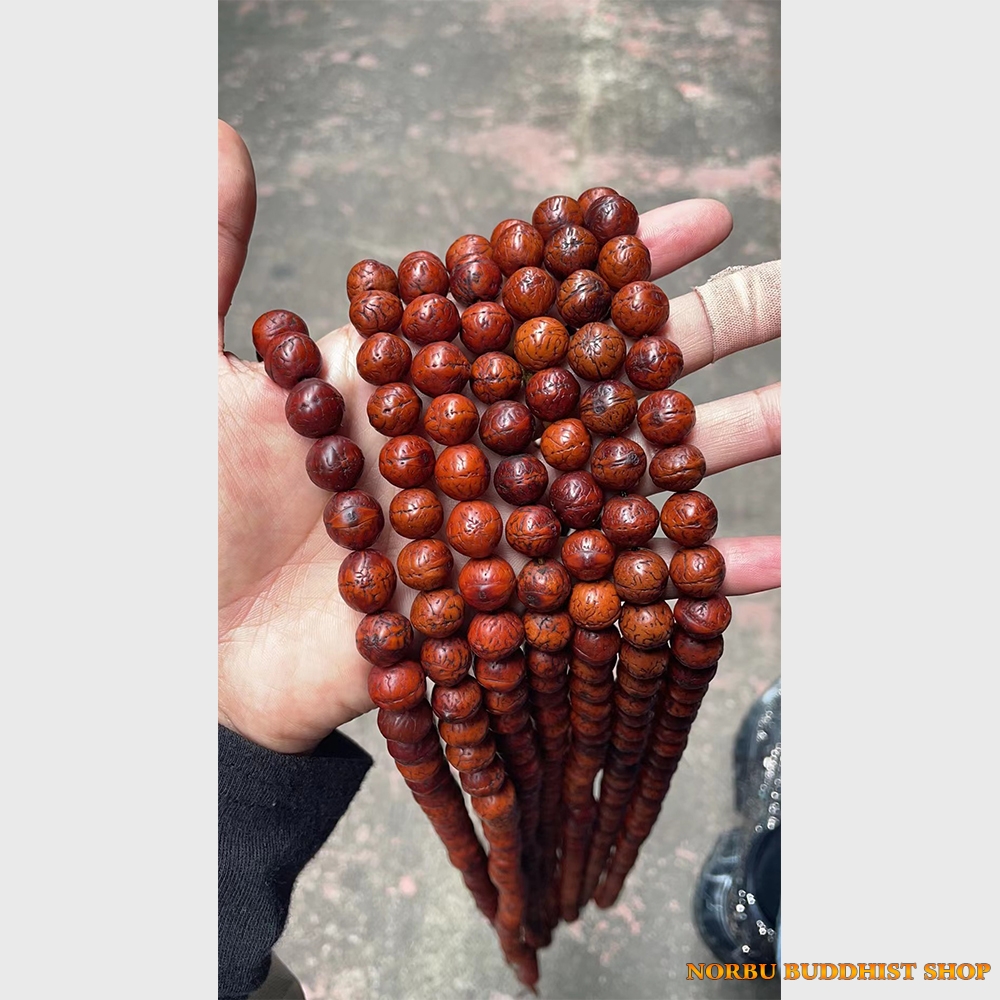 Chuỗi hạt bồ đề mắt Phật 12mm chất đẹp từ Tibet