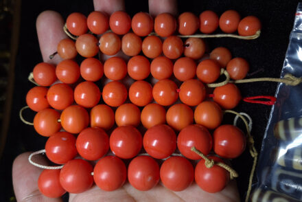 Đá san hô đỏ và tất cả thông tin chi tiết từ A - Z - red coral