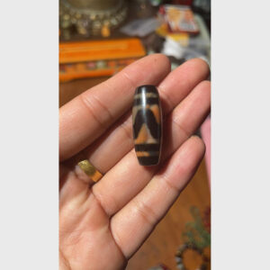 Dzi bead răng hổ chu sa tasso