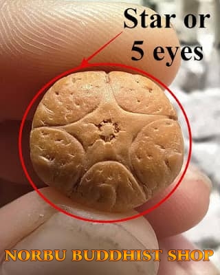 Chuỗi hạt bồ đề Phật nhãn đặc biệt ở Mắt Phật có gì đặc biệt để thành vua các chuỗi 6