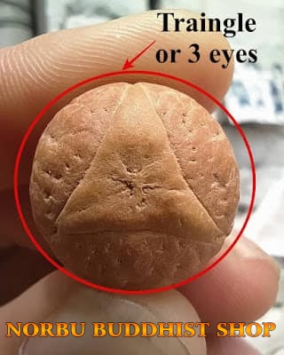 Chuỗi hạt bồ đề Phật nhãn đặc biệt ở Mắt Phật có gì đặc biệt để thành vua các chuỗi 7