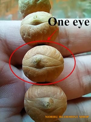 Chuỗi hạt bồ đề Phật nhãn đặc biệt ở Mắt Phật có gì đặc biệt để thành vua các chuỗi 8